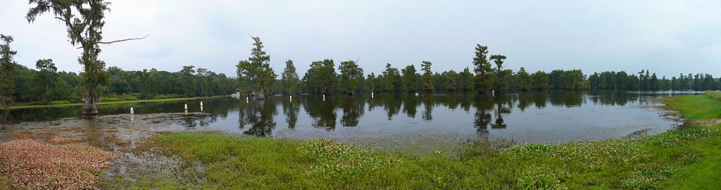 Lake Bistineau, Louisiana, Шонгалу