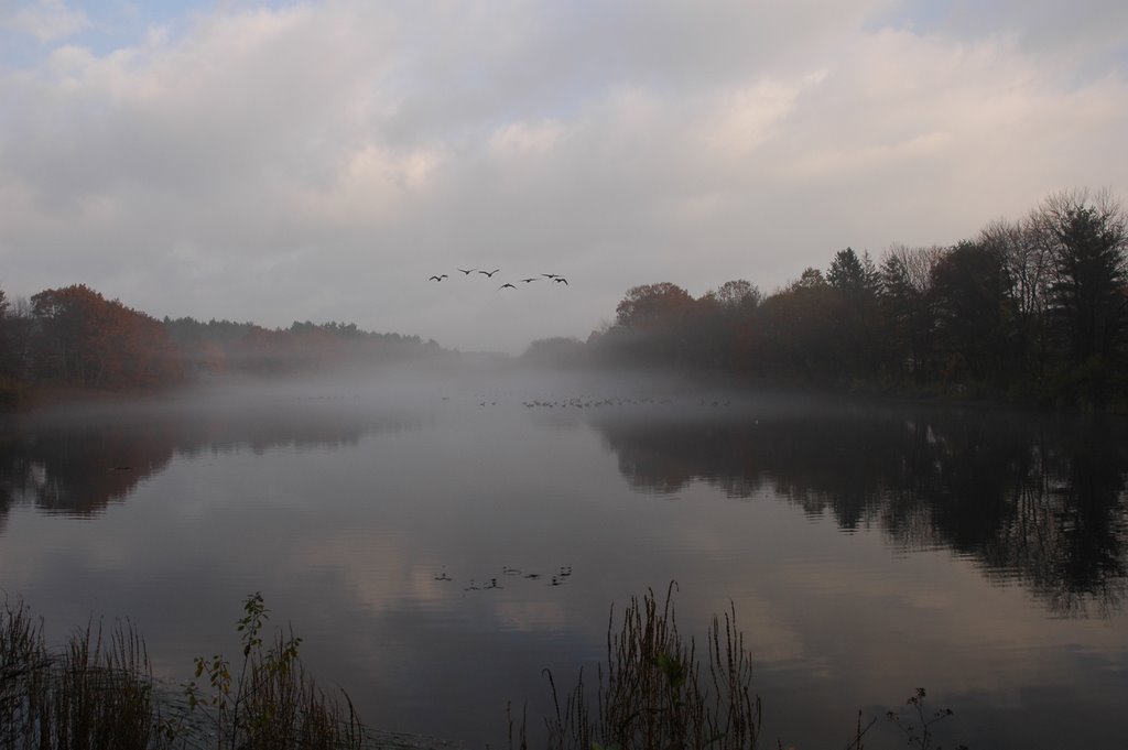 Ice House Pond (morning mist), Актон