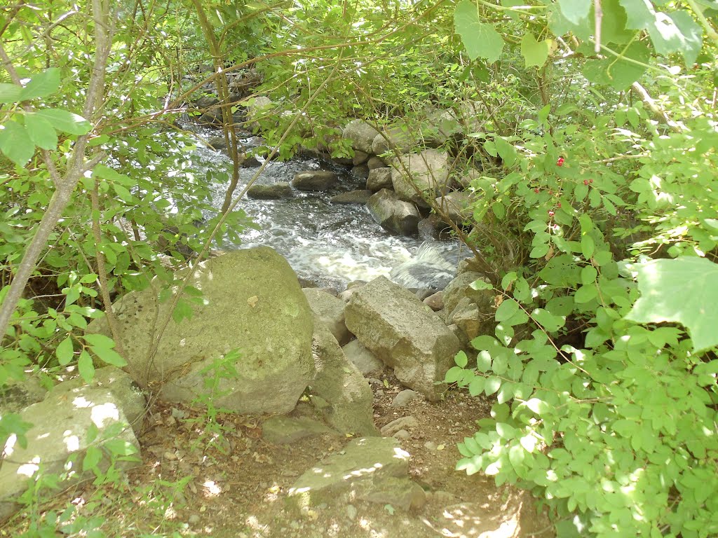 Nashoba Brook, Актон