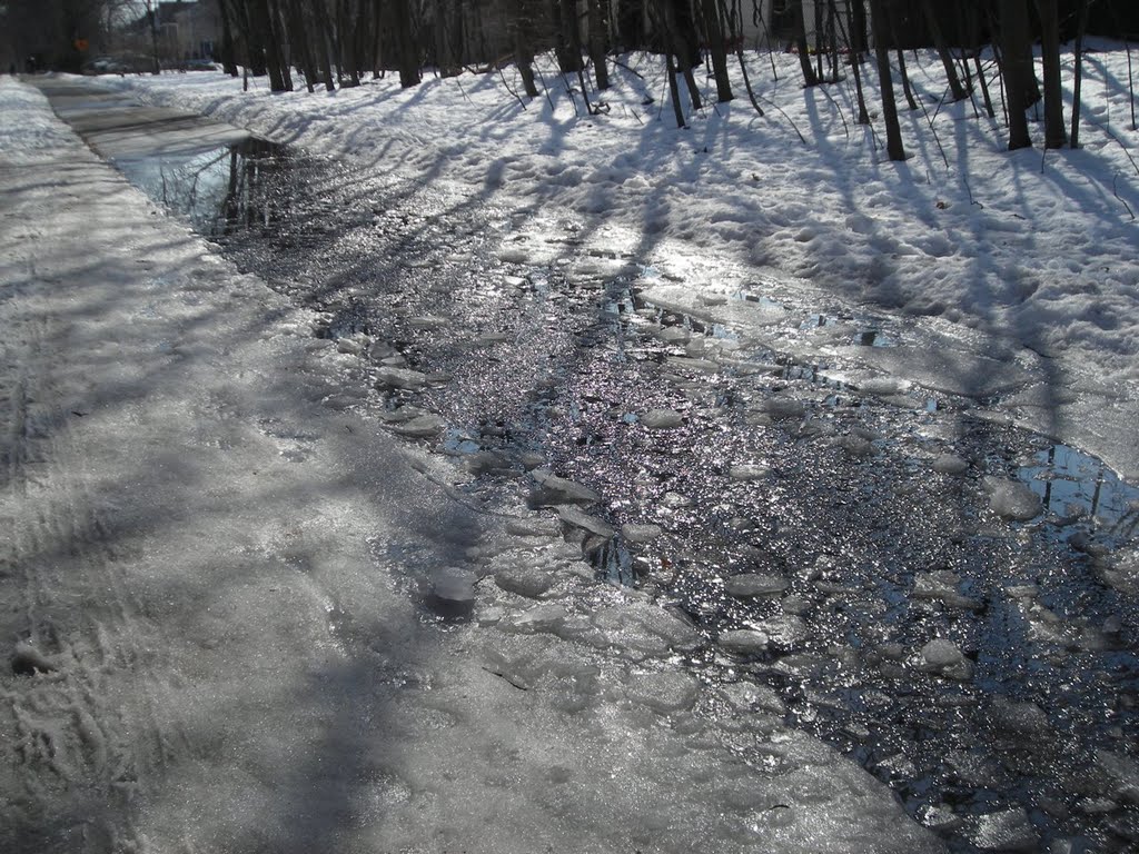 Melting ice on the Minuteman BIkeway Rail Trail near Lake Street, Arlington.  From my trail skating blog at http://minutemantrail.blogspot.com/2009/02/trail-conditions-coming-along-quickly.html., Арлингтон