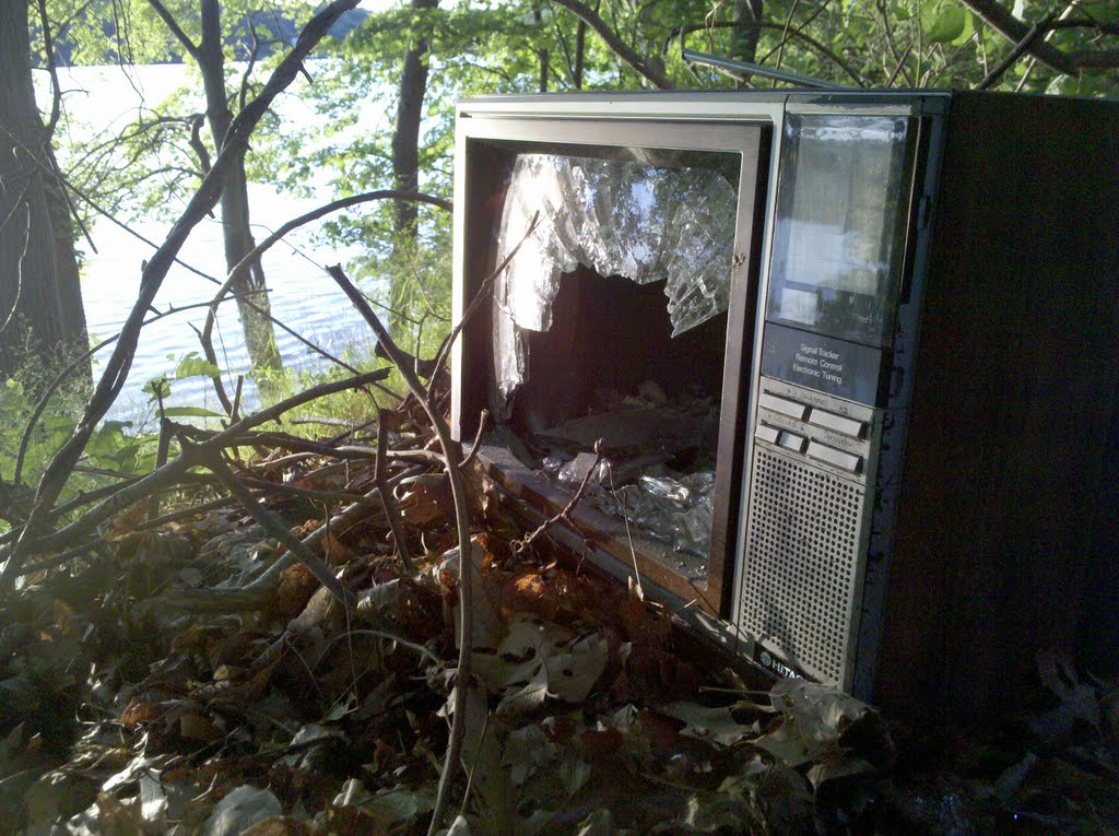 Broken TV in the woods, Арлингтон