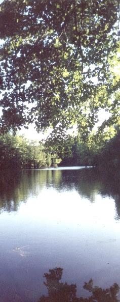 brooks Pond, Арлингтон