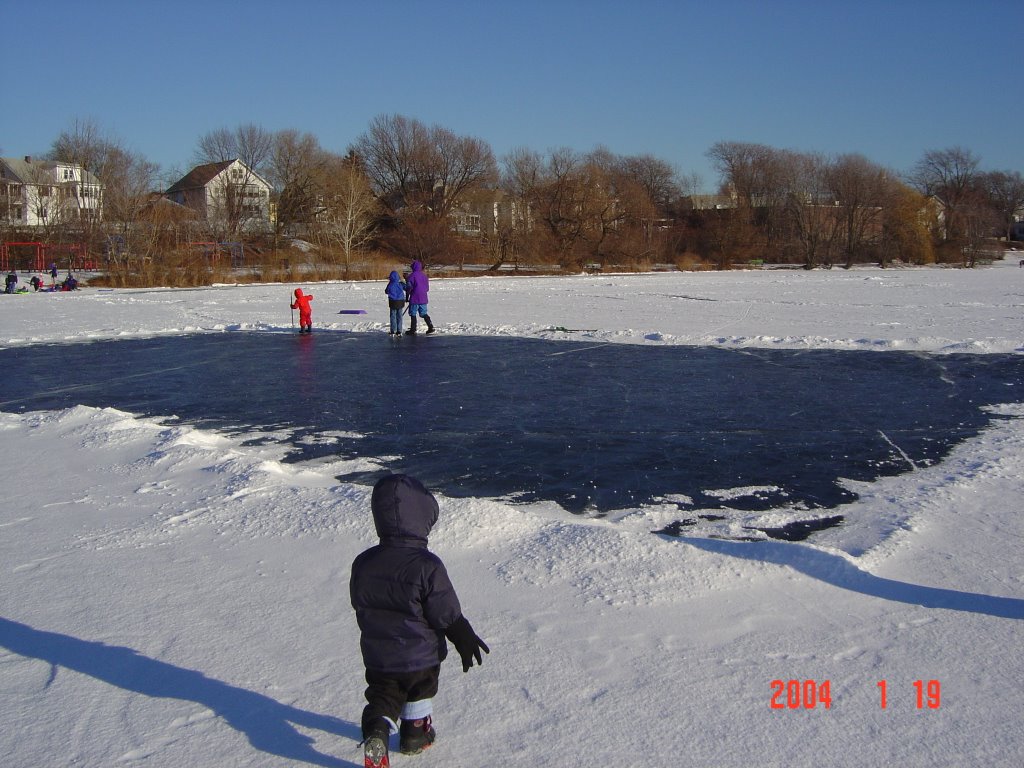 Frozen Spy pond, Арлингтон