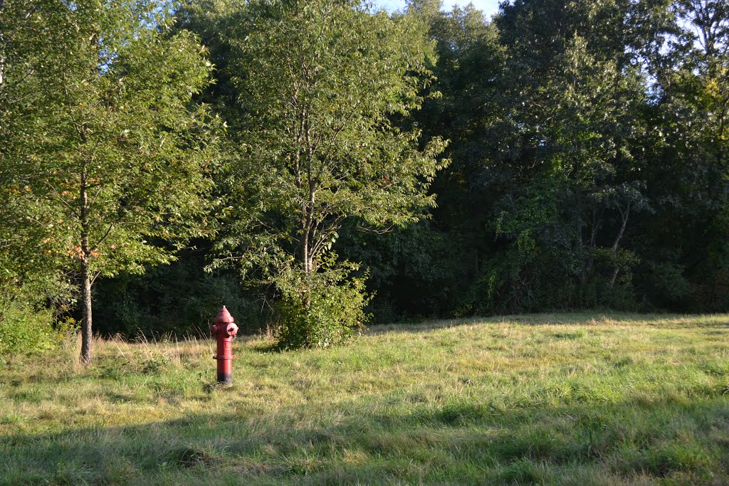Wheres the Fire (hydrant in a field)?, Белмонт