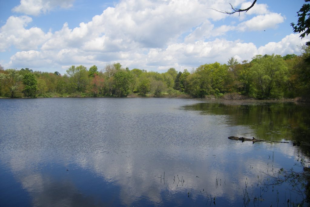 Carver Pond, Бриджуотер