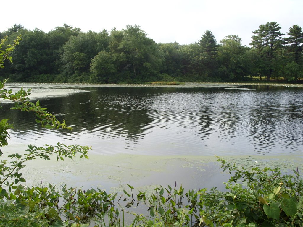 carvers pond 6, Бриджуотер