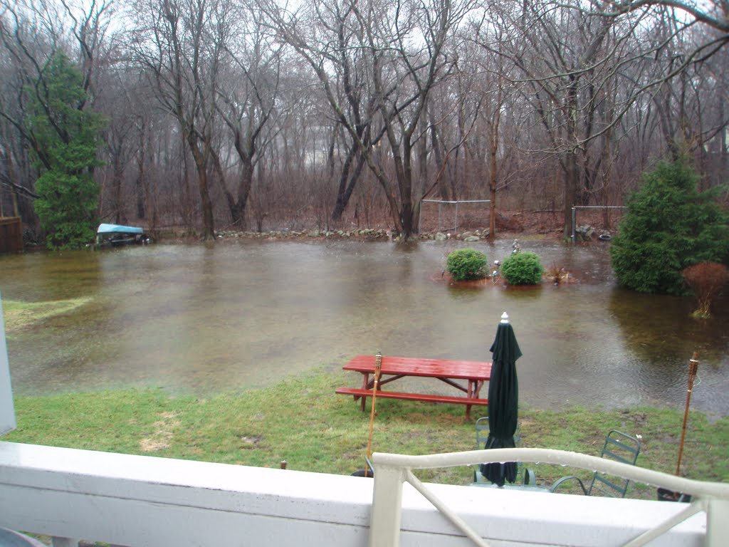 my flooded back yard(swamp land), Броктон