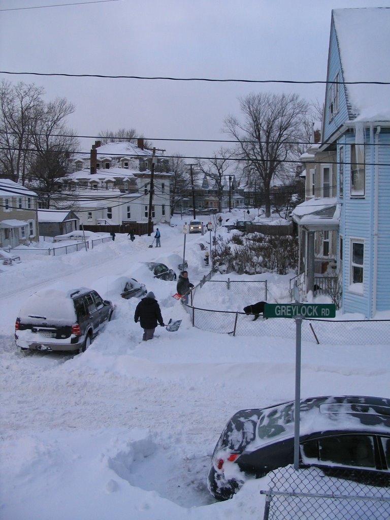 The Aftermath of a Snowstorm, January 2005, Бруклин