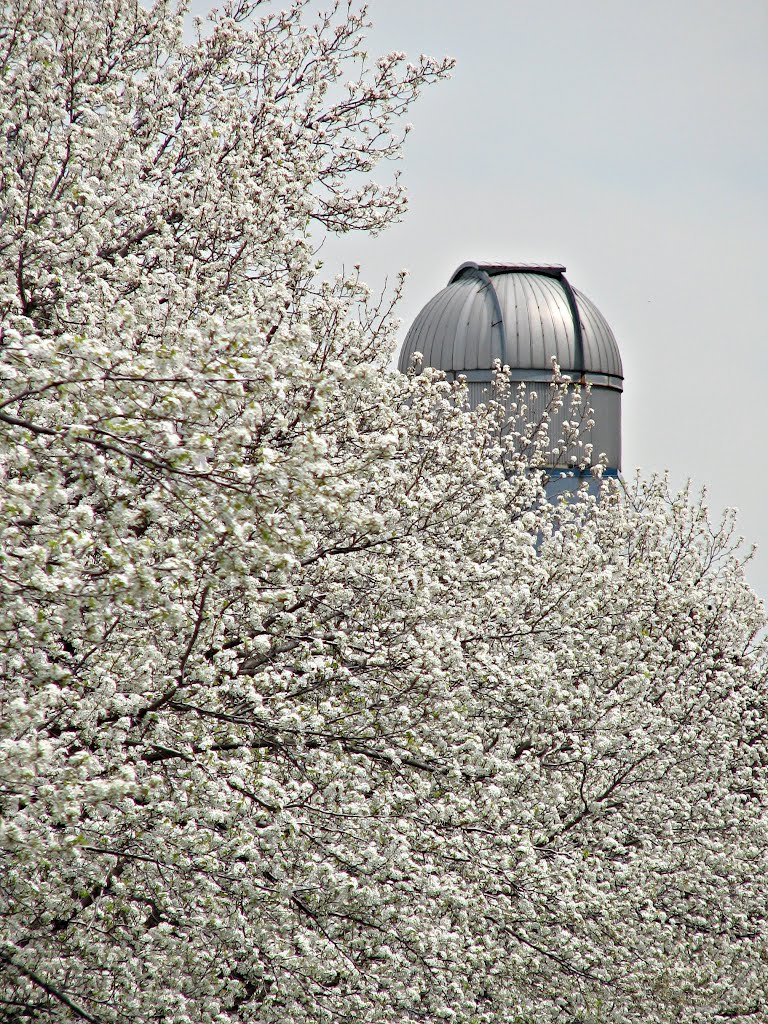 Spring at BU (telescope tower), Бруклин