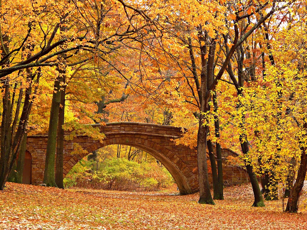 Bostons Emerald Necklace turns Golden in autumn., Бруклин