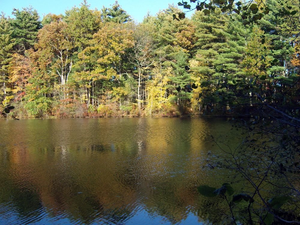 Herbst in Amerika, Валтам