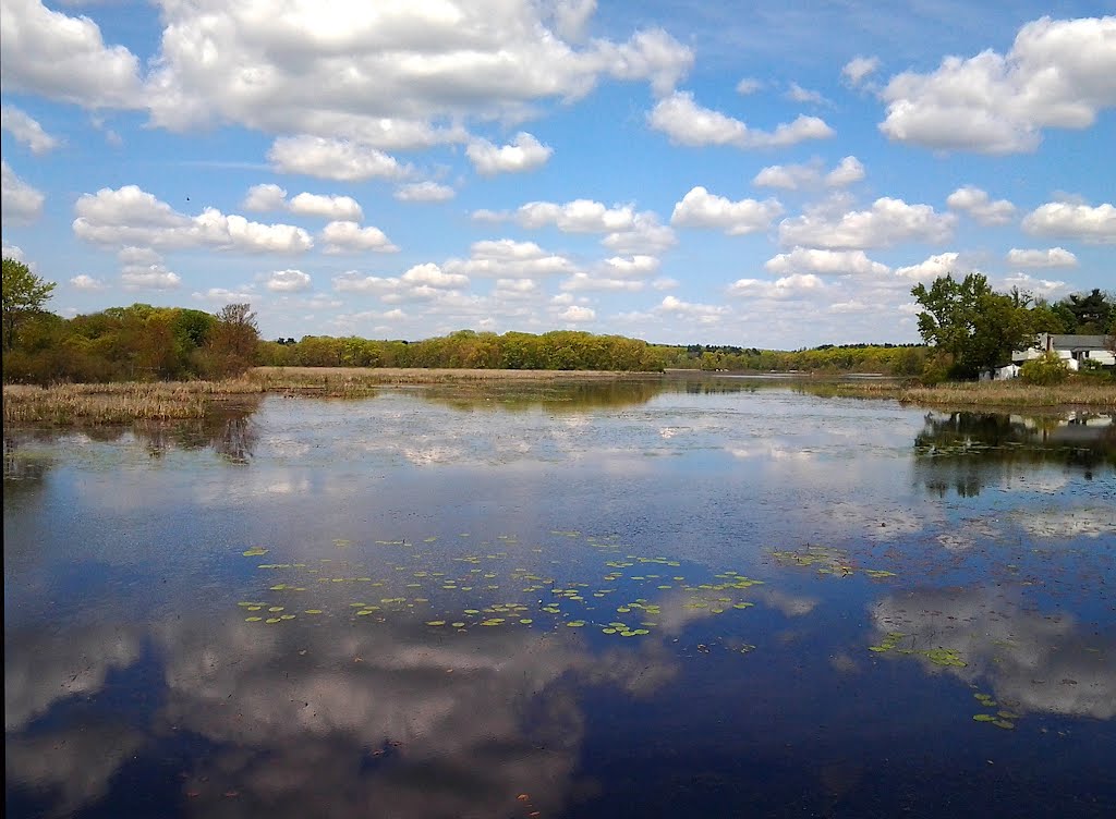 Milford Pond/Cedar Swamp, Варехам