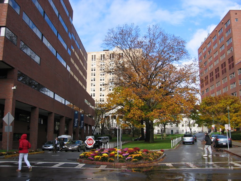 Massachusetts General Hospital ~ Wang Building on Left, Вестон