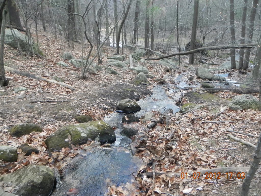 brook that feeds into the blackstone river, Вимоут