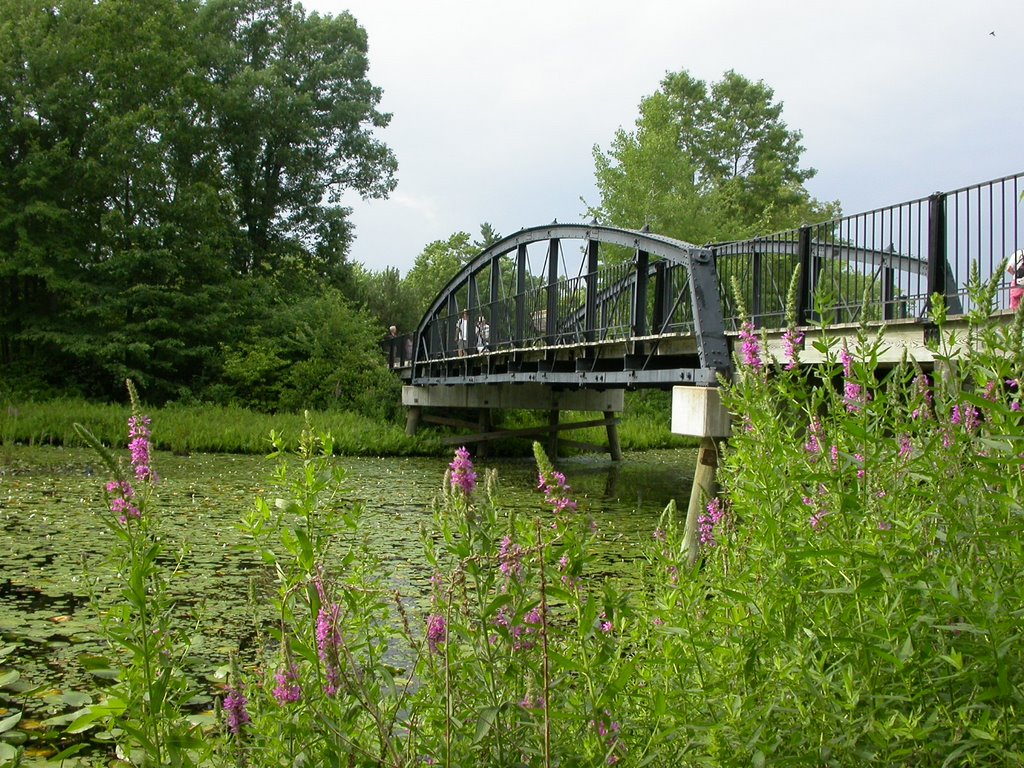 Old Bridge Relocated to Webster Lake, Дадли