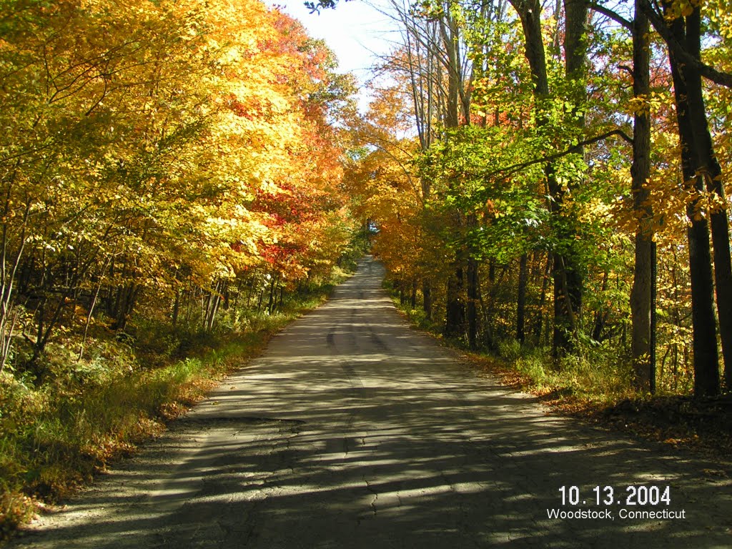 Autumn Country Lane - New England, Дадли