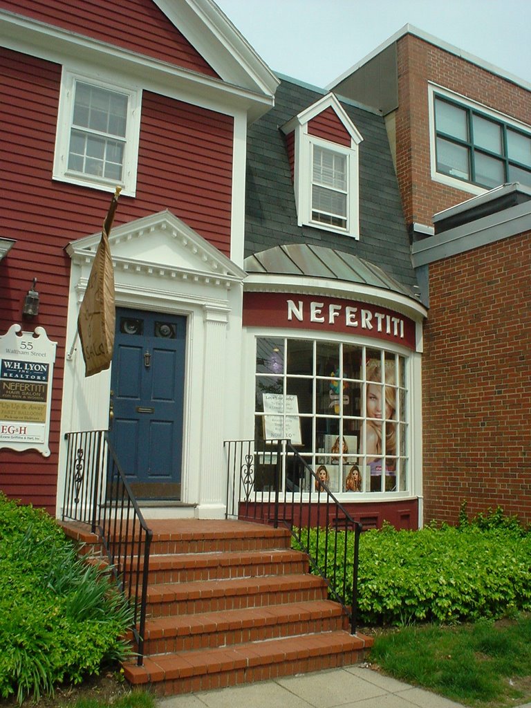 Nefertiti Hair Salon - Lexington, MA, Лексингтон