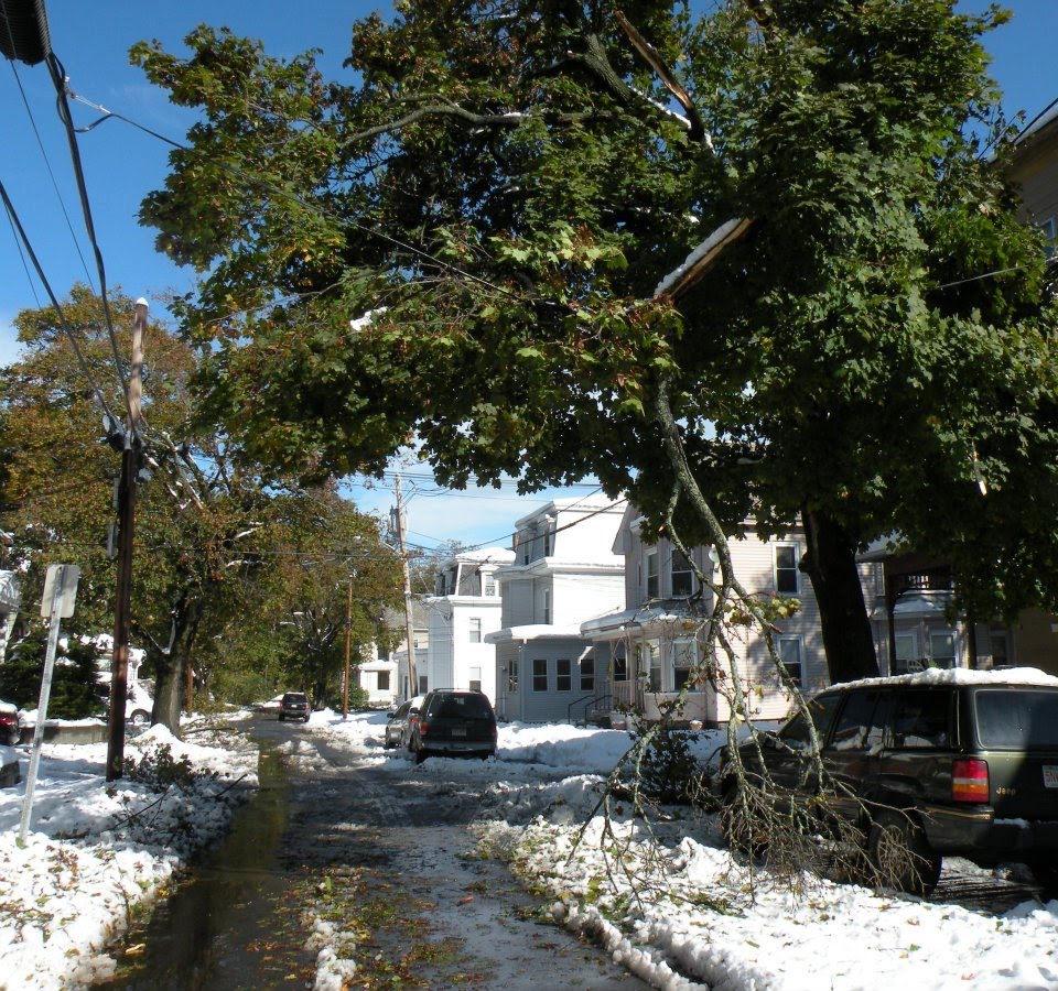 Church Street; Damage from Oct 2011 Freak Snow Storm, Леоминстер
