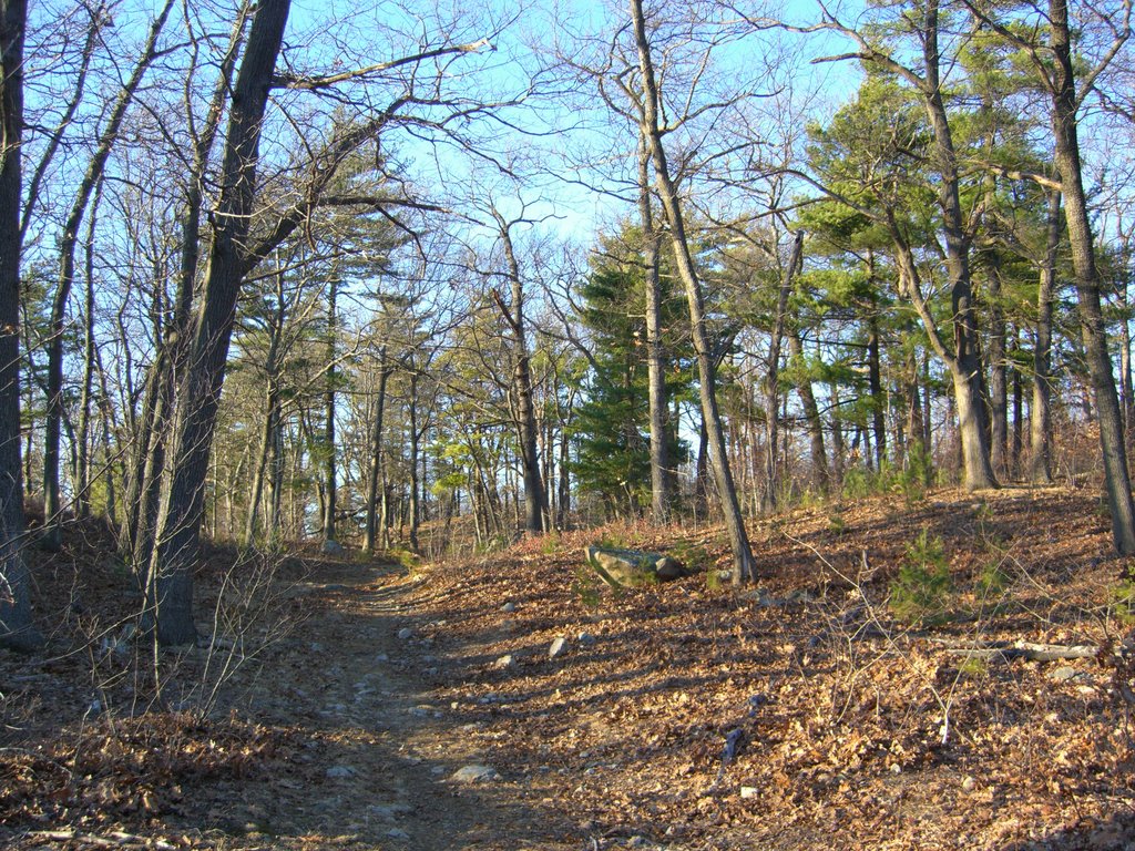 Trail in Lynn Woods, Линн