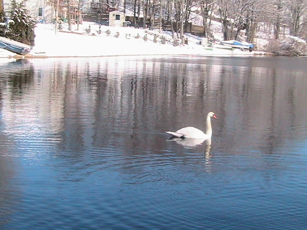 Whitmans Pond, East Weymouth, MA, Ловелл