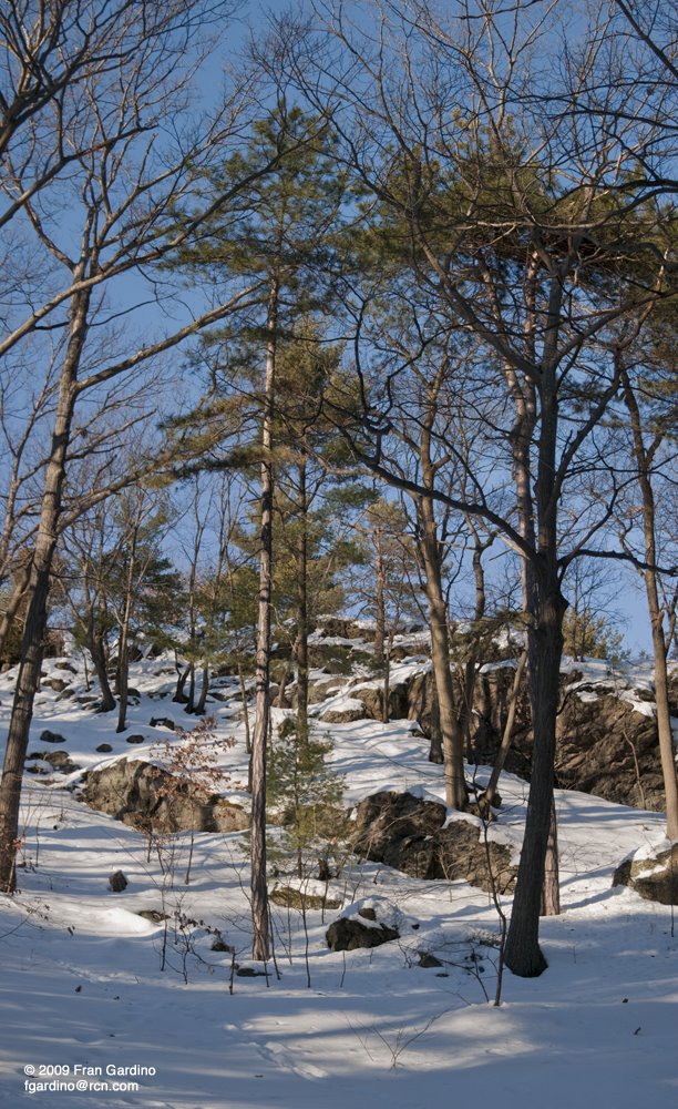 Pine Banks Park with Snowy Hill, Малден