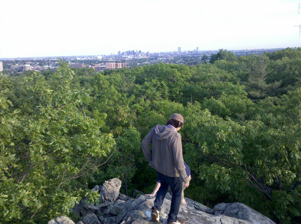 View of Boston from the Fells, Малден