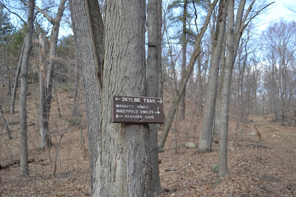 Middlesex Fells Reservation, Медфорд