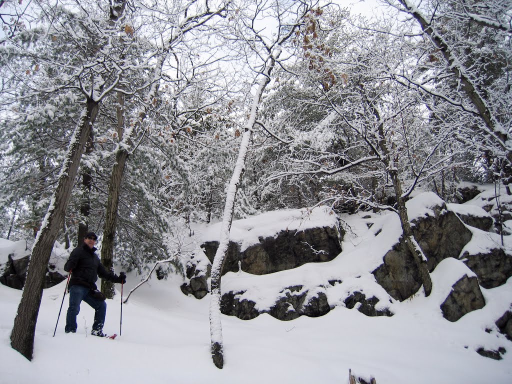 Middlesex Fells in Winter, Медфорд