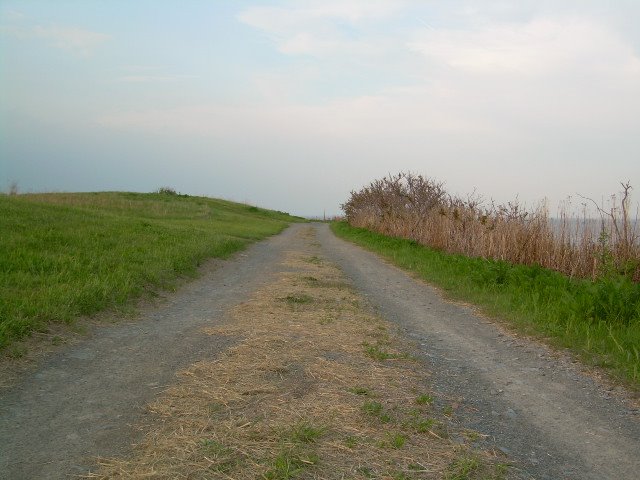 Path at East Point, Нахант