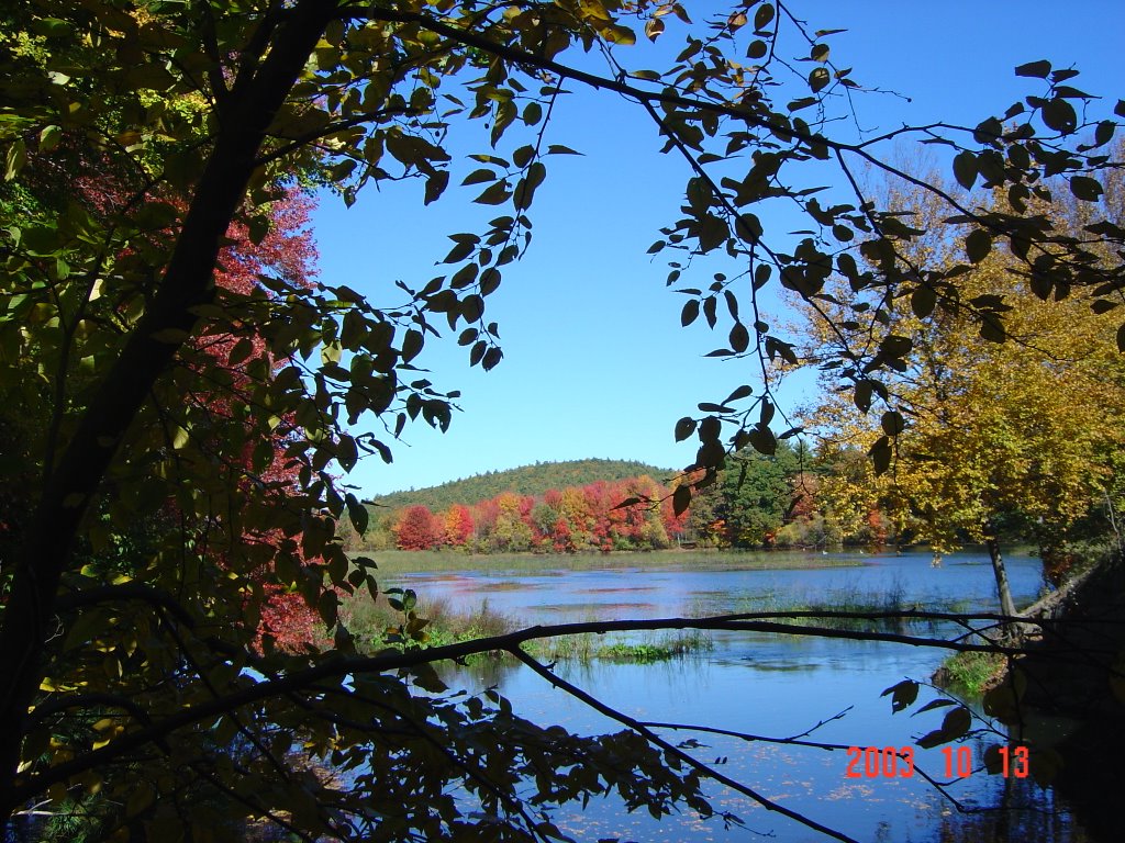 Autumn in Blackstone River Valley, Норт-Дигтон
