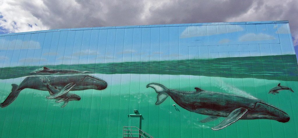 Whales of New Bedford, Нью-Бедфорд