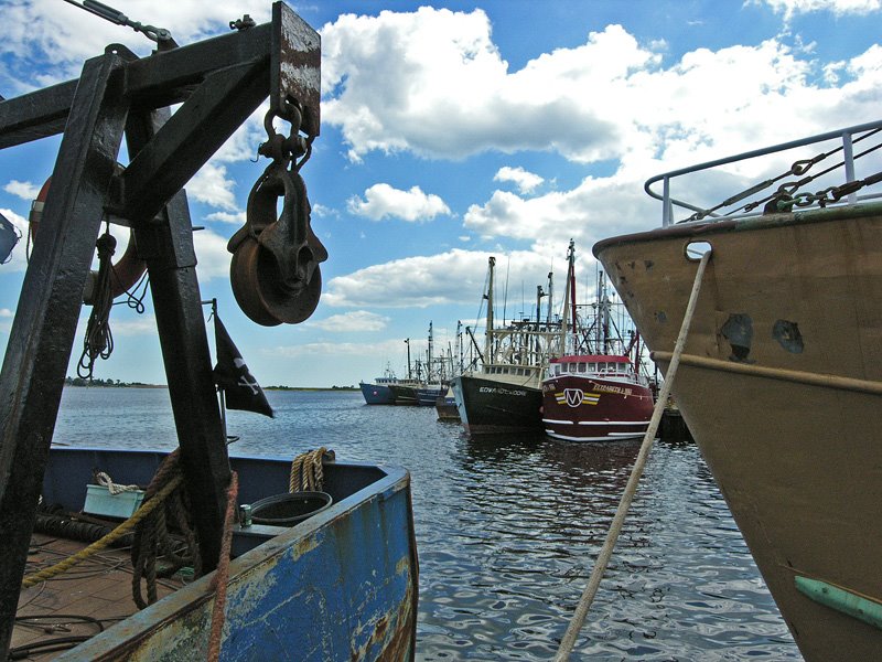 Fishy Harbor, Нью-Бедфорд