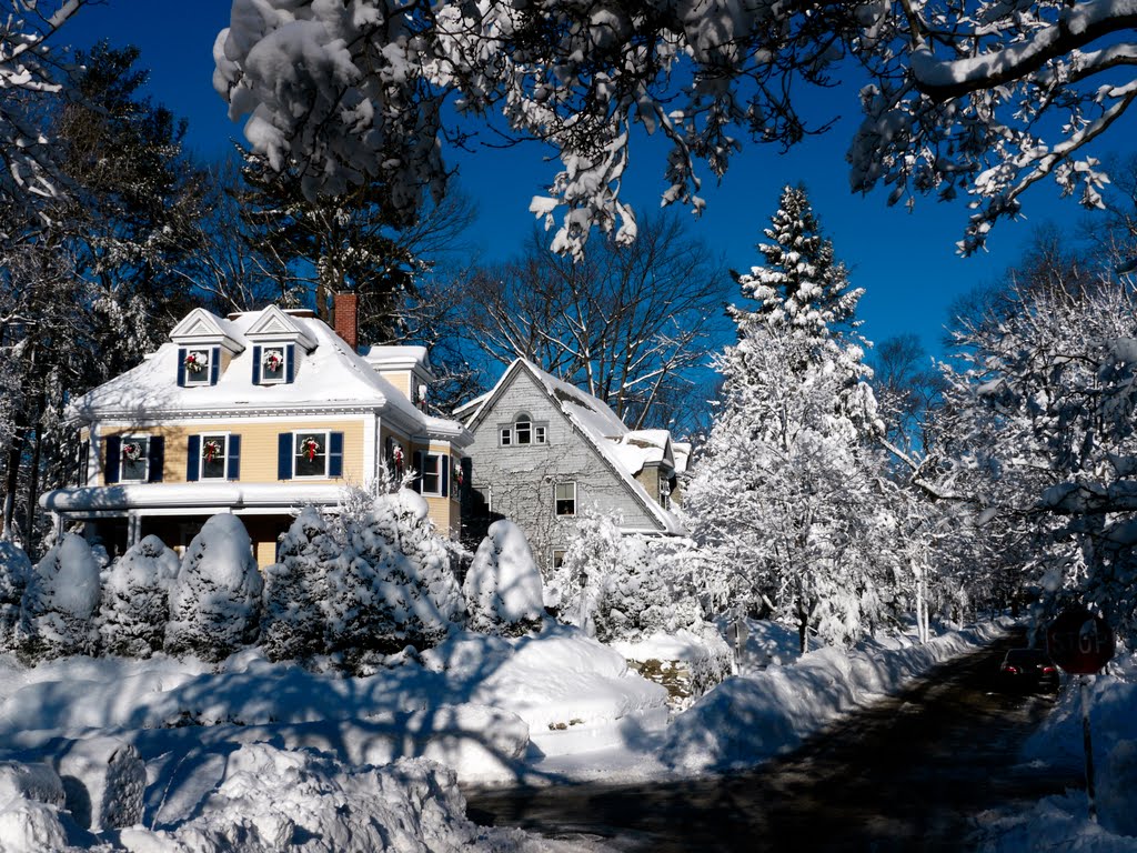 Snow in Boston, Ньютон