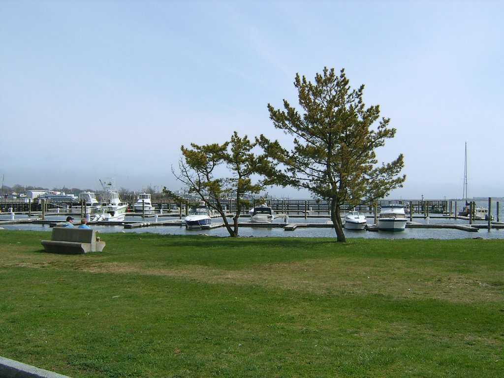 Prince Henry Park, New Bedford, MA, Оксфорд