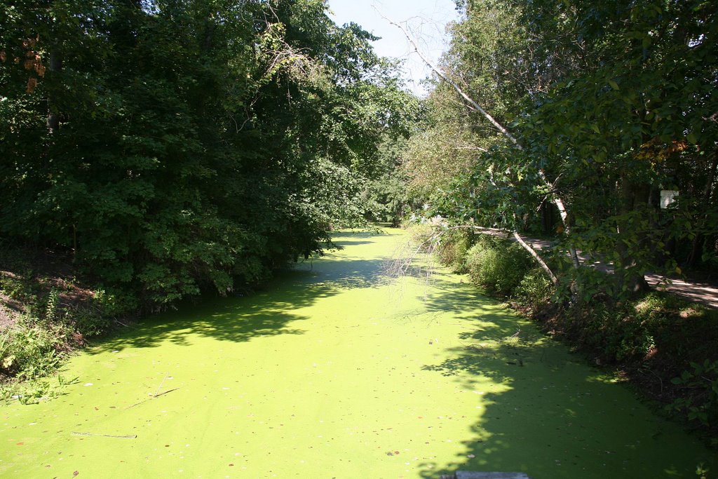 Blackstone Canal, Ратланд