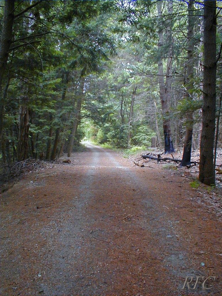 Forest Track, Ратланд