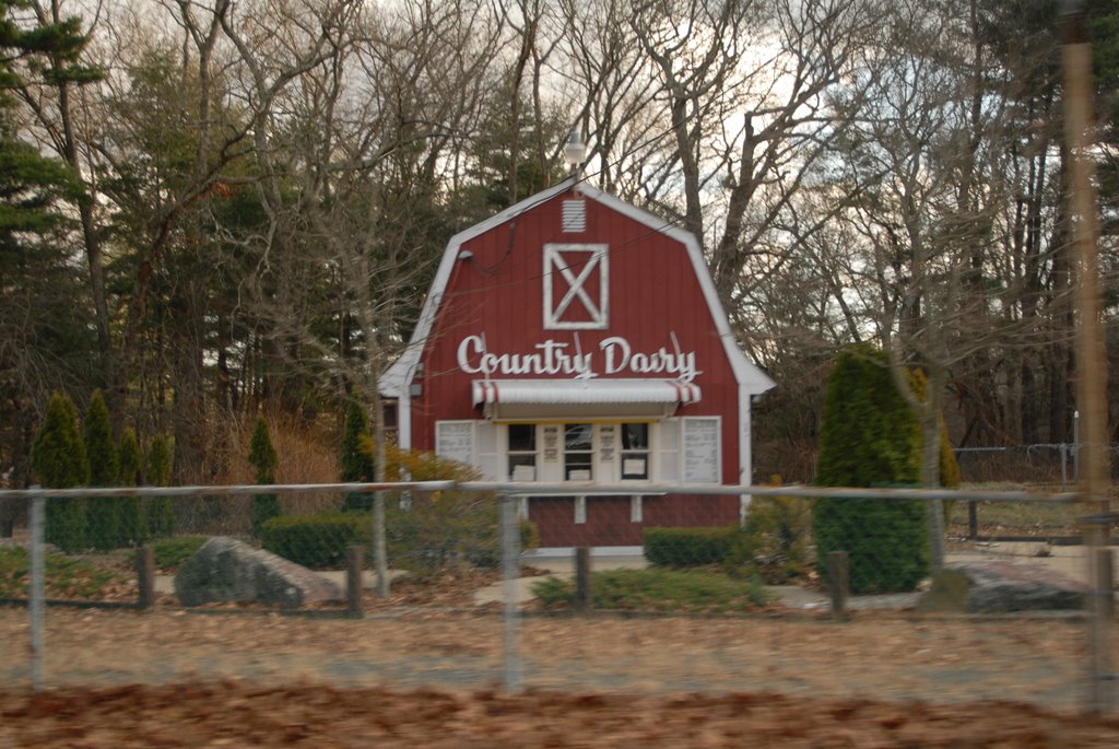 Country Dairy, Рехобот