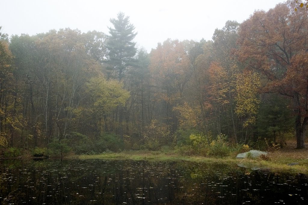 Pond in Taft Memorial Park, Uxbridge MA, Рошдейл