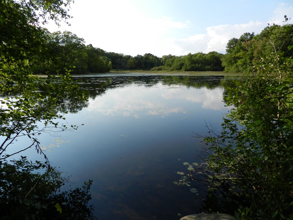 Louisa Lake, Рэндольф