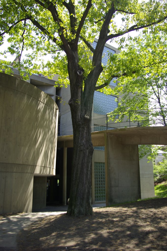 Carpenter Center by Le Corbusier, Detail, Сомервилл