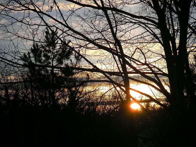 Early March Sunrise Through Trees, Стерлинг