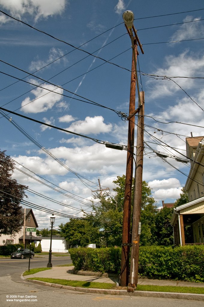 Siamese Twin Telephone Poles and Wires in Watertown on Los Angeles Street after Dim Sum, Уотертаун