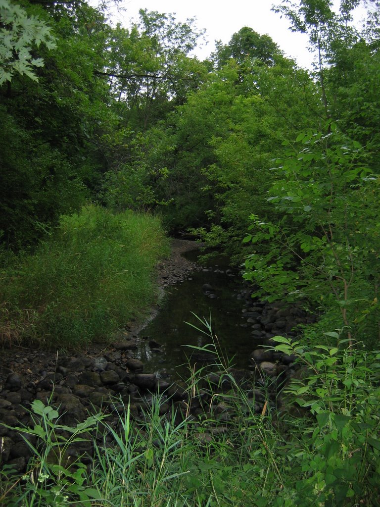 NIne Mile Creek, Moir Park, Блумингтон