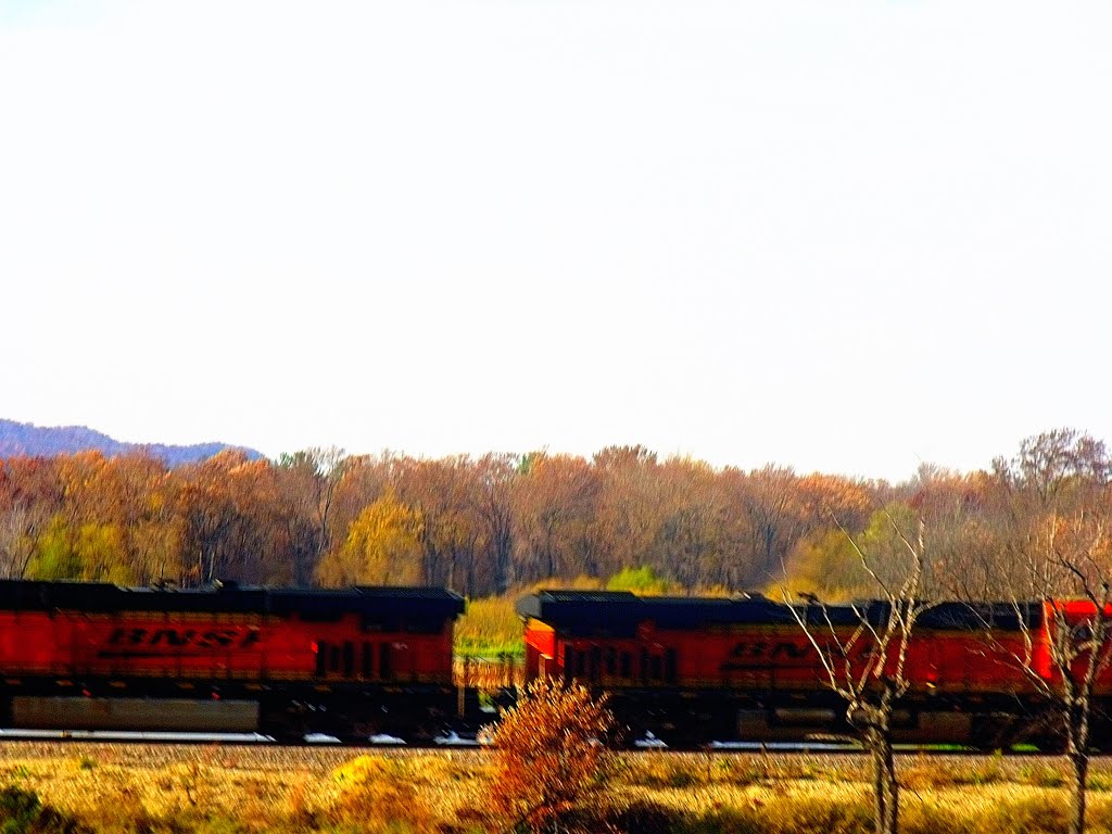 BNSF Train, Браунсвилл