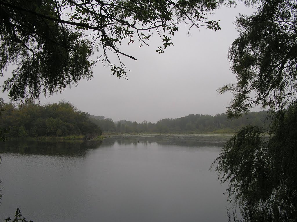 Empire Lake, Foggy Morning Calm, Whitetail Park, Дакота