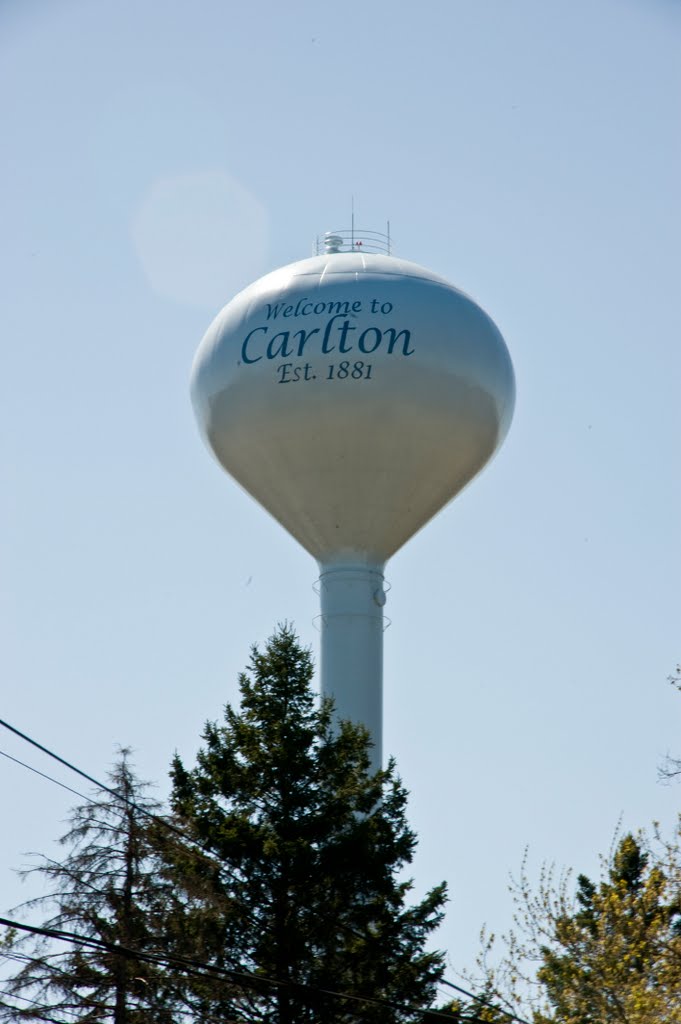 Carlton, Карлтон