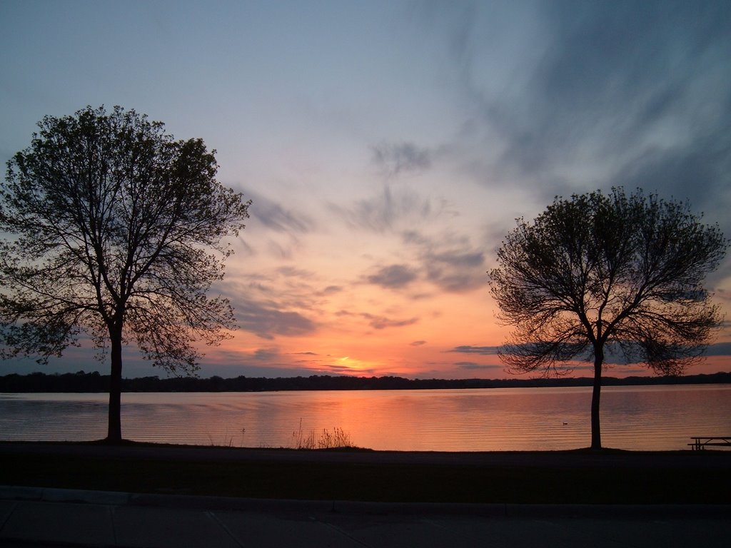 May 2005 - Plymouth, Minnesota. Pair of trees on the shore of Medicine Lake at sunset., Медисин-Лейк