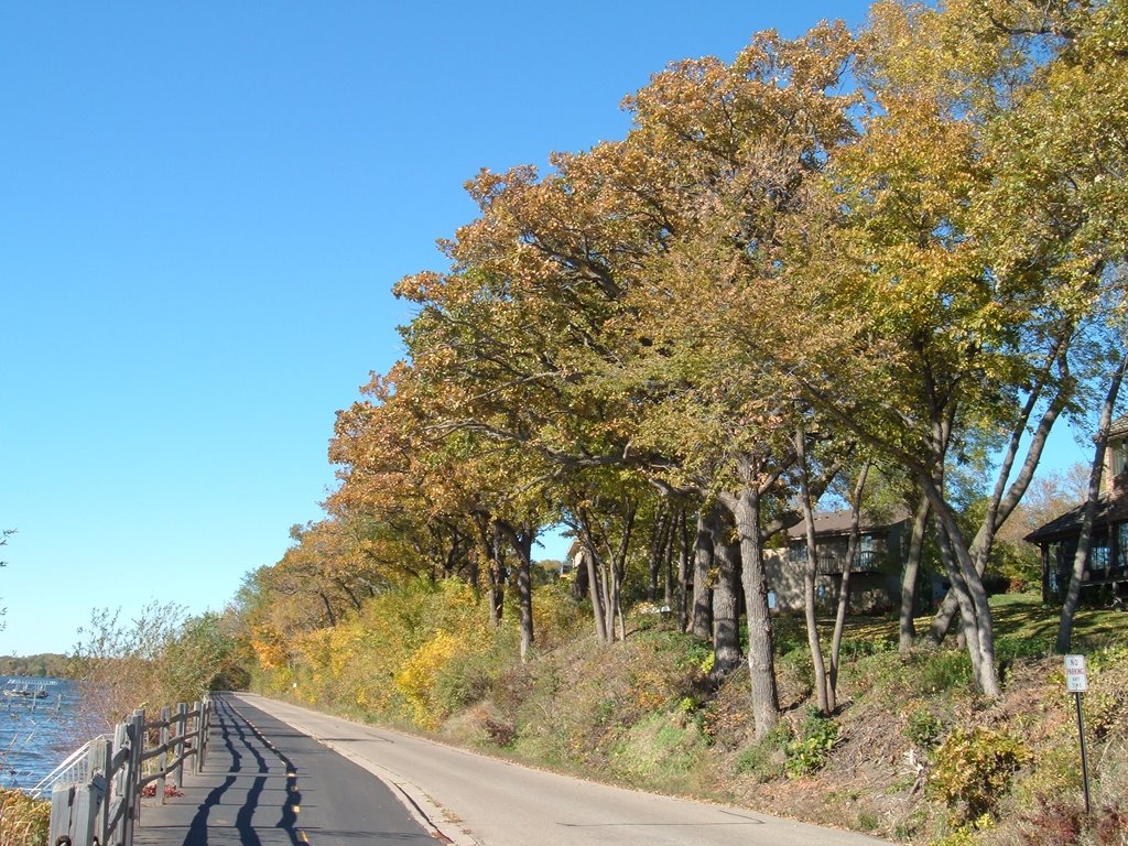 Oct 2005 - Plymouth, Minnesota. Fall colors along Medicine Lake., Медисин-Лейк