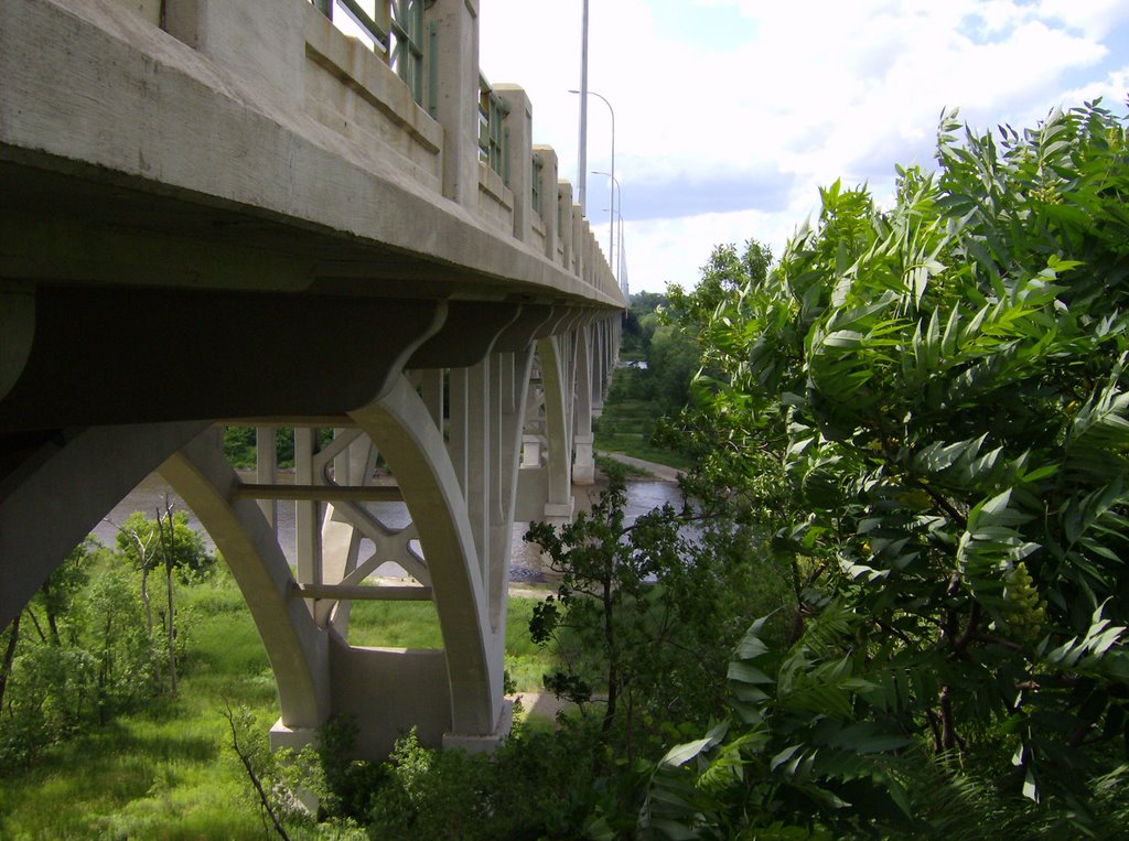Mendota Bridge, Мендота