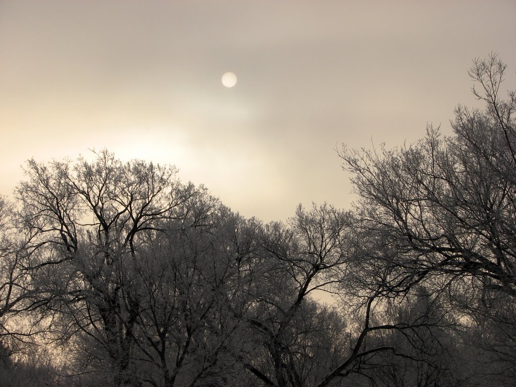 Sunrise in snowstorm -- 2, Роббинсдейл